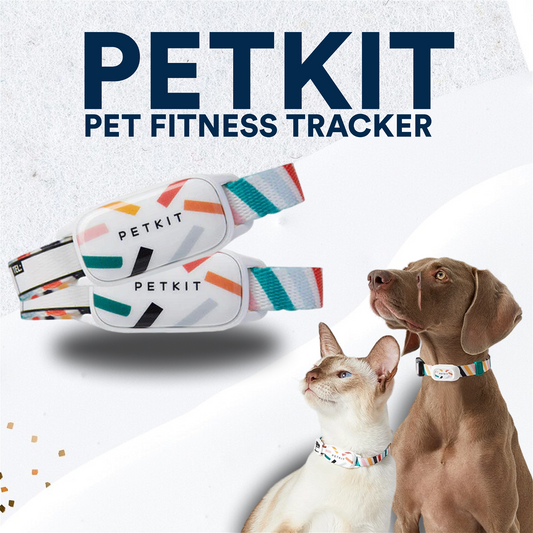 Petkit Pet Fitness Tracker - Furendly Pets | Your Pet's Favorite Store