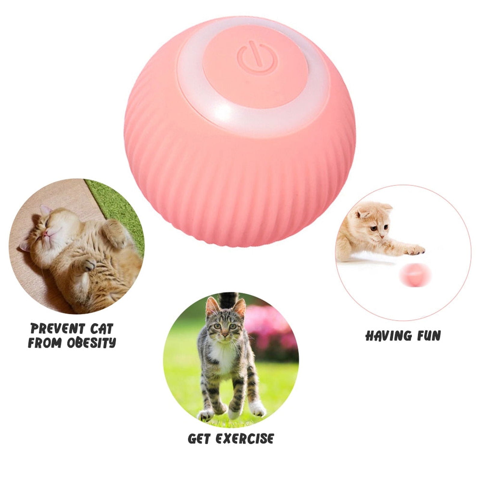 Smart Pet Play Sphere - Furendly Pets | Your Pet's Favorite Store
