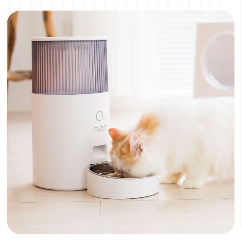 Smart WiFi Pet Feeding Station - Furendly Pets | Your Pet's Favorite Store